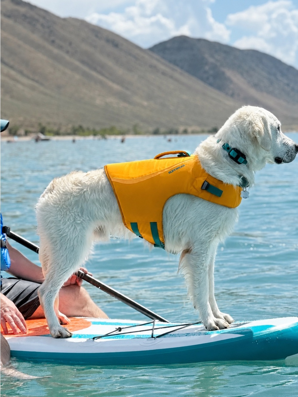 Ruffwear Dog Life Jacket/ Vest - Large